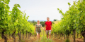 Domaine Duffau