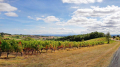 Domaine Les Petits Jardins