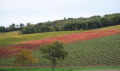 Ferme du chemin d'Origny