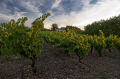 Domaine Gayrard