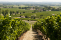 Domaine Cinq Peyres