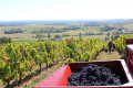 L'enclos des Braves