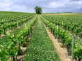 Ferme de la Fringale