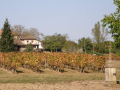 Chateau Lastours