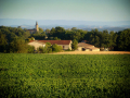 Domaine de Brin